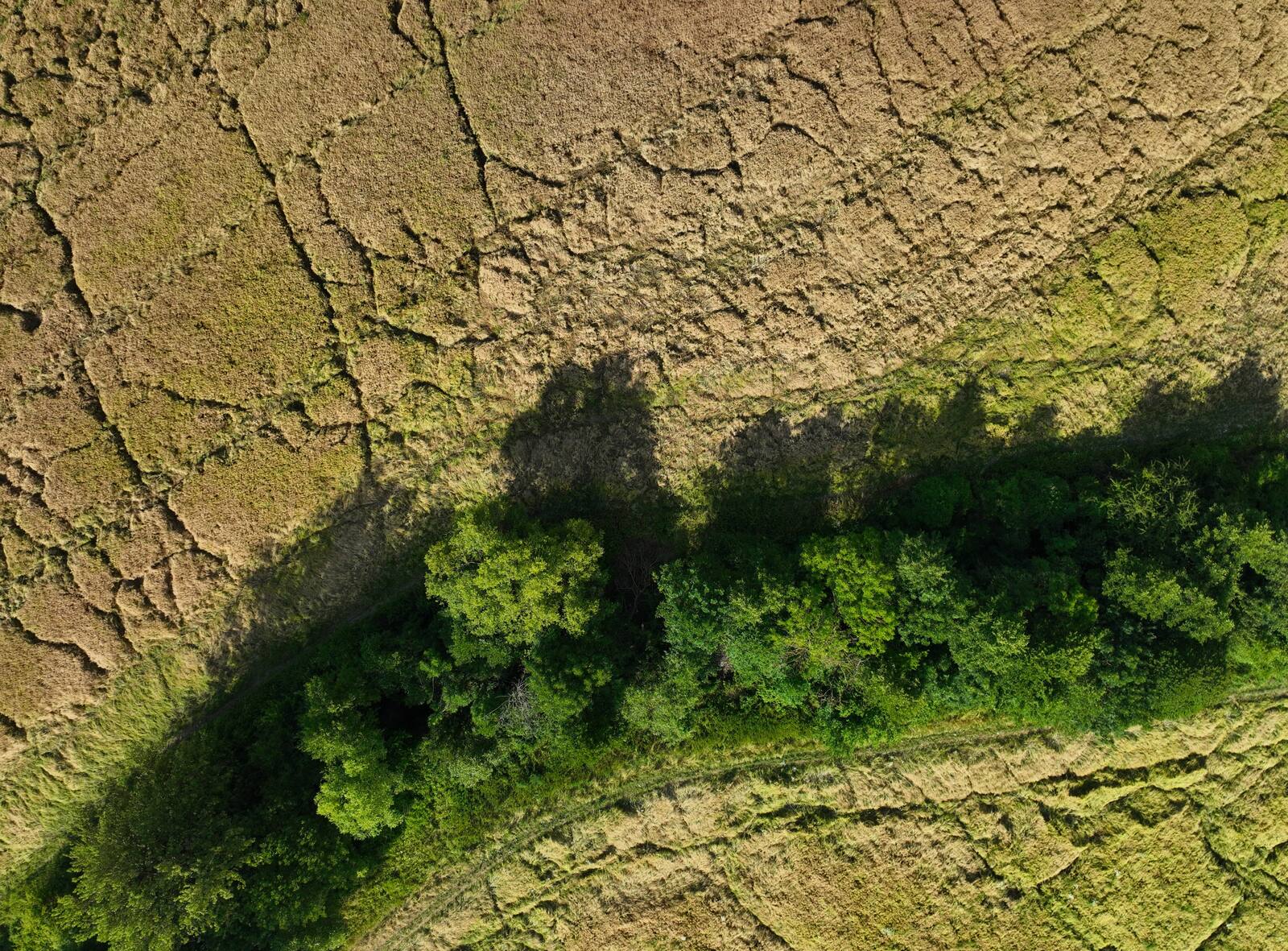 Zelené pole z dronu, pohľad zhora